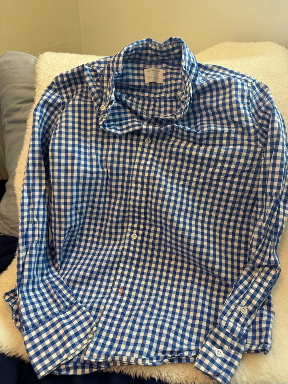 Crewcuts Blue and White Gingham Button-Down Shirt